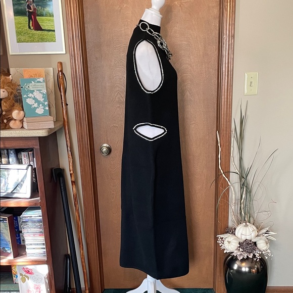 Elegant Sleeveless, Sweater Maxi by Express - Picture 16 of 17